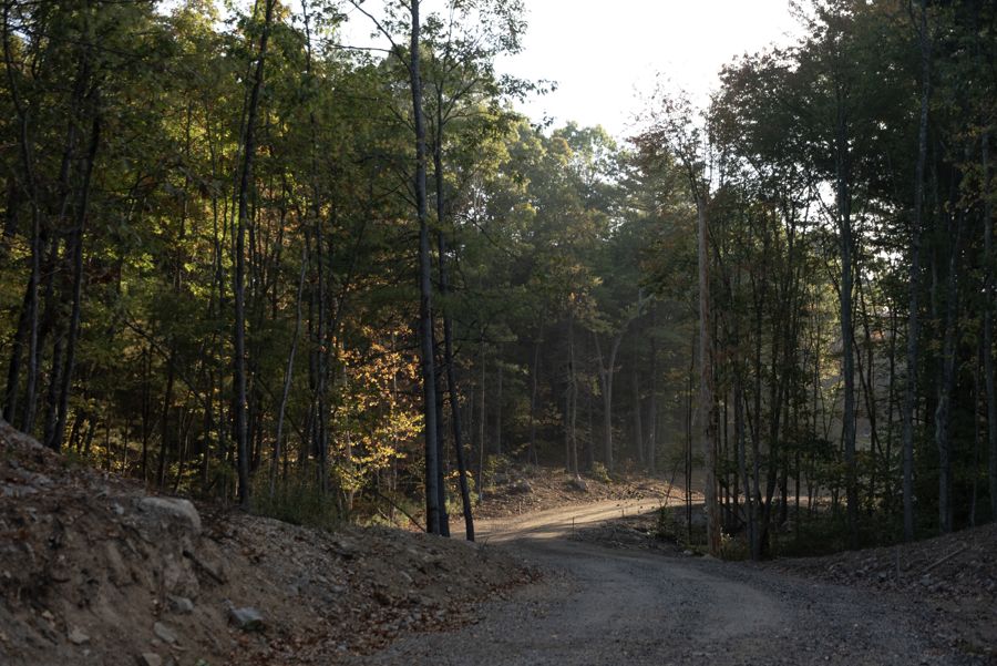 The gravel road through the woods.