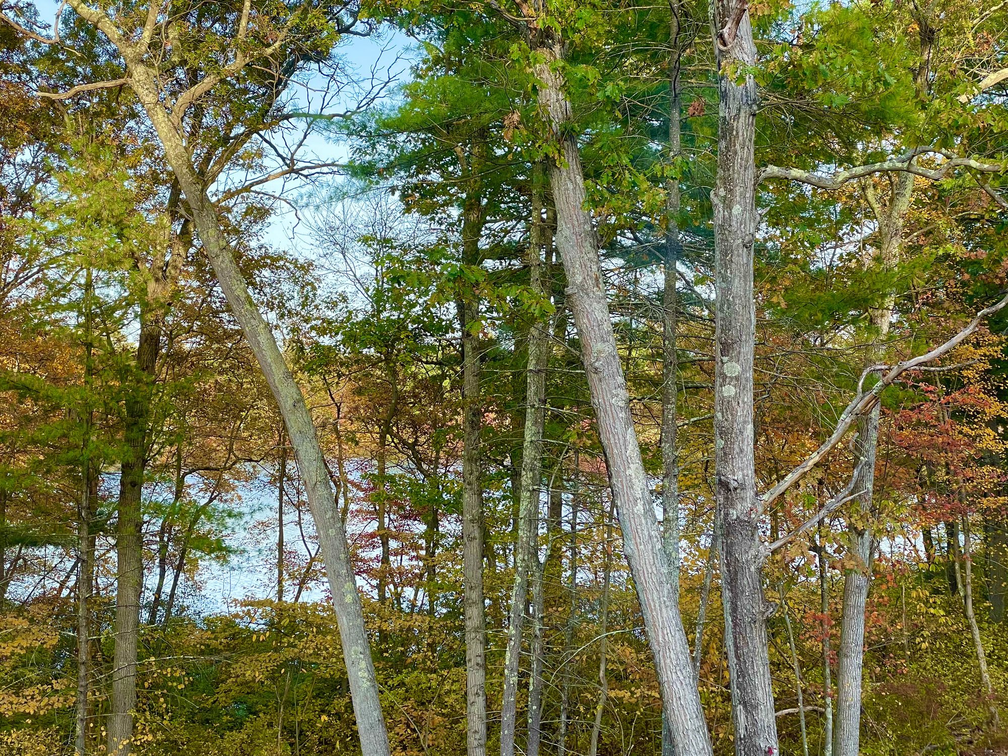 Echo Pond in autumn
