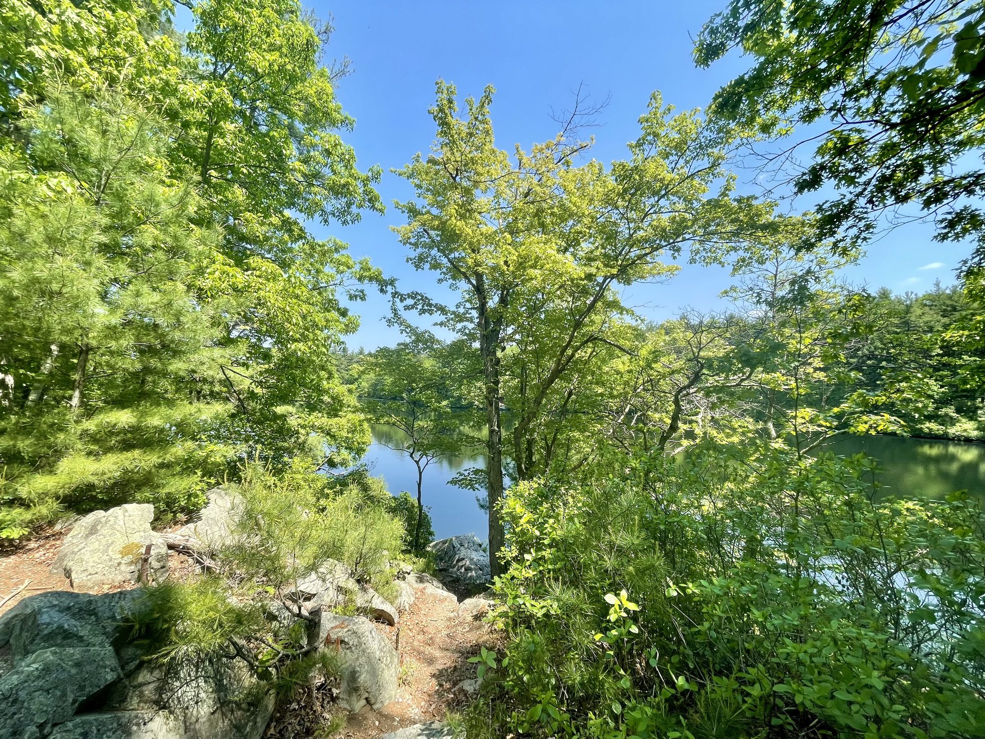 Echo Pond in summer