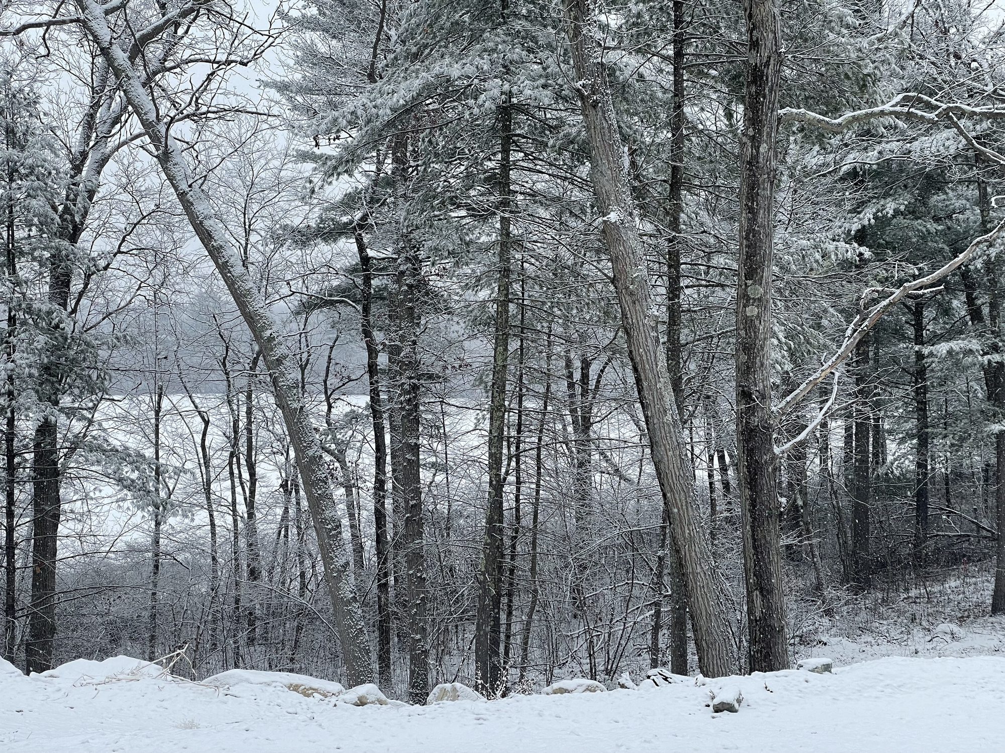 Echo Pond in winter