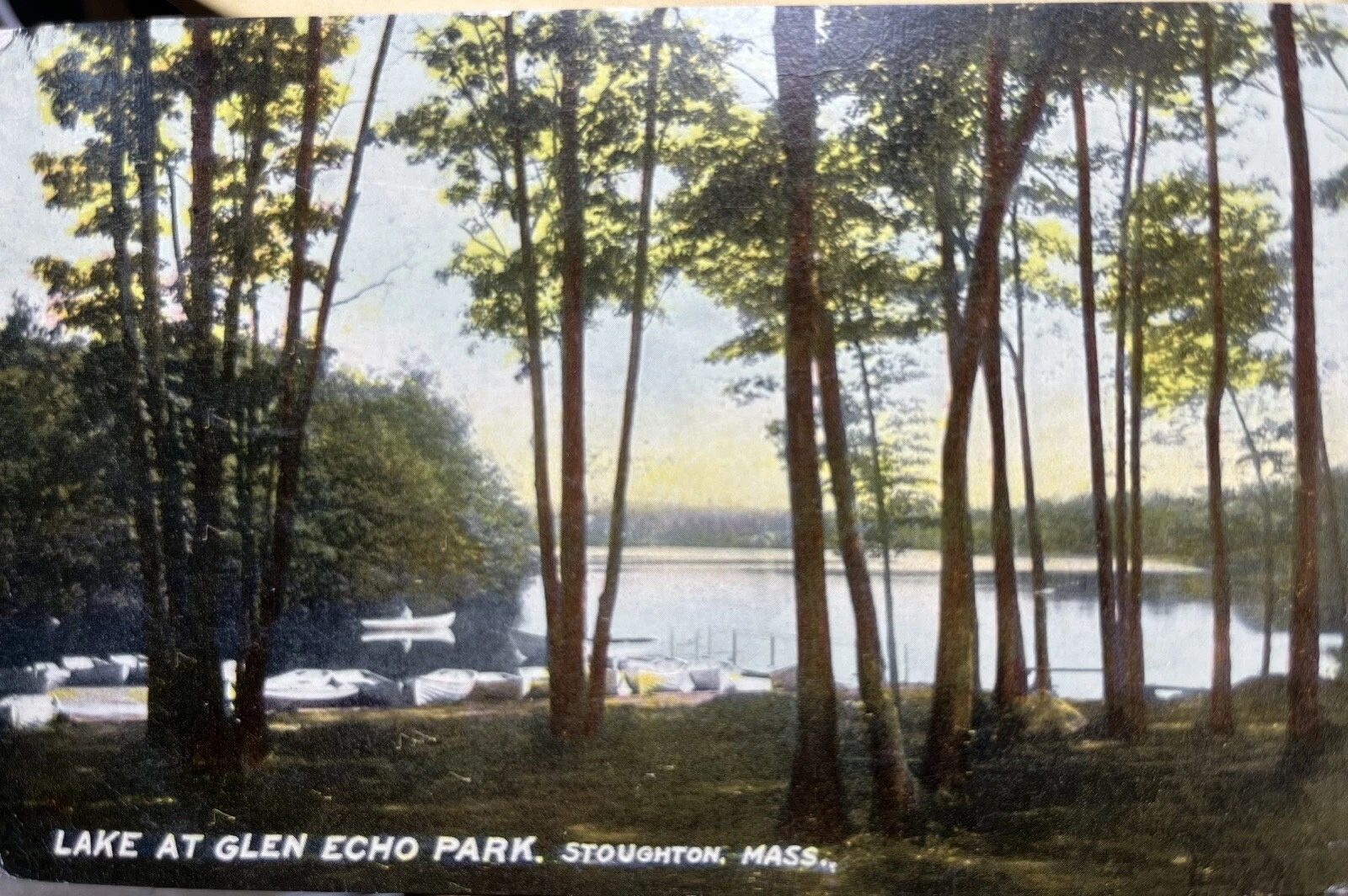 Postcard of rowboats drawn up along the lake shore under pines