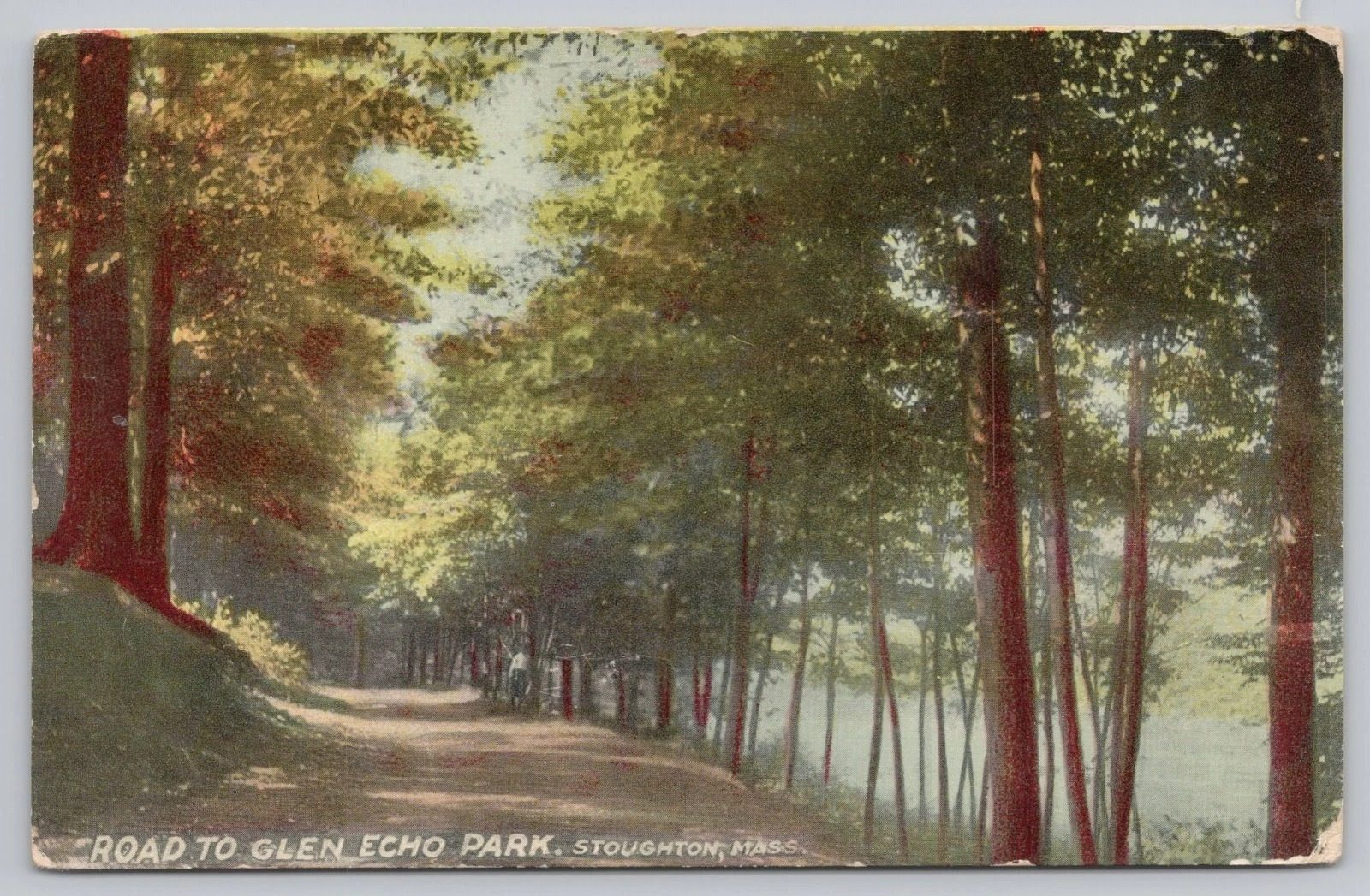 Hand-tinted postcard of a dirt road under tall pines beside the lake
