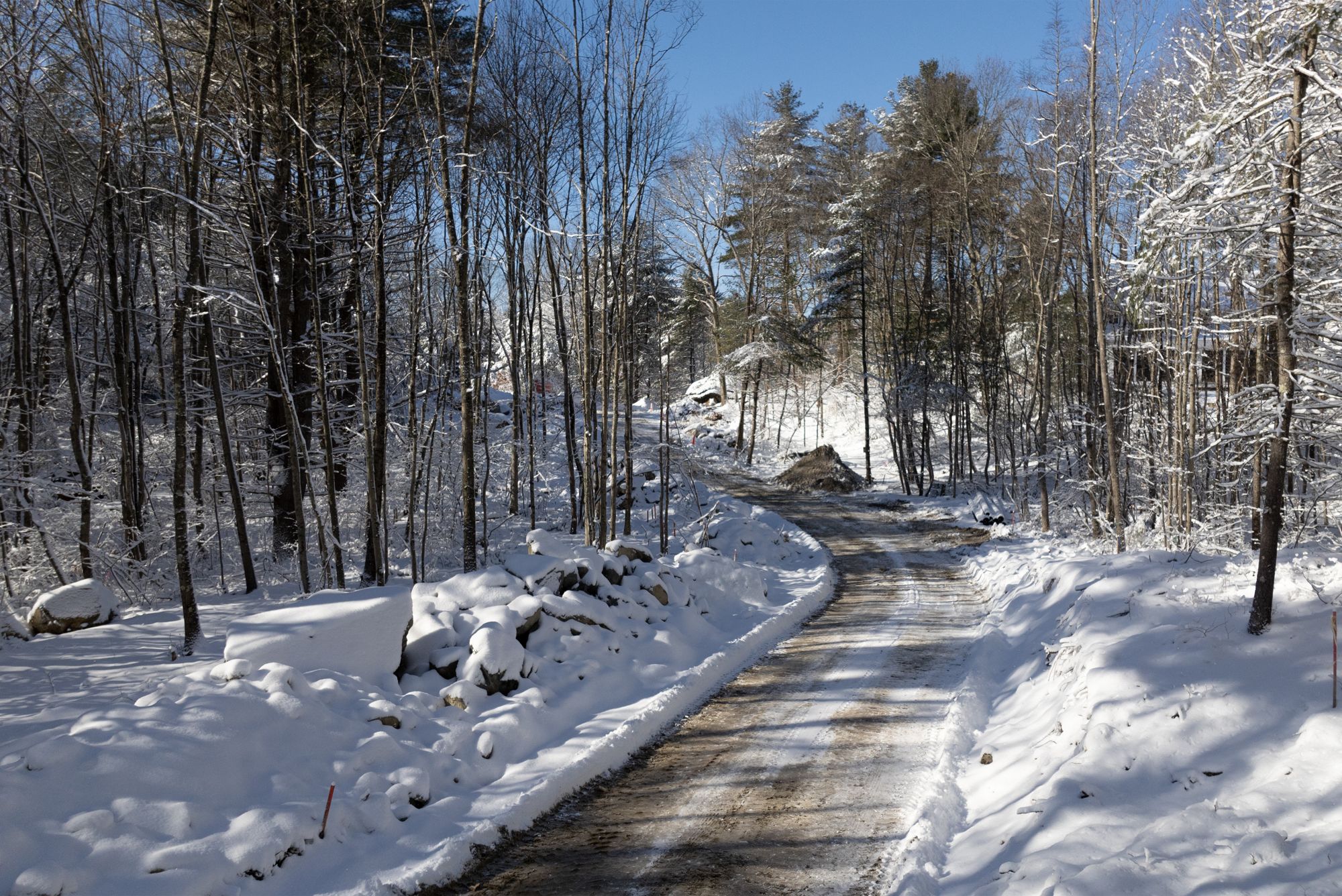 The new access road through the woods in winter